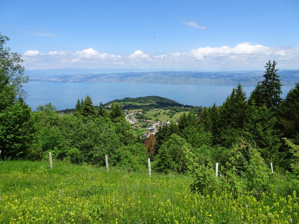 Les Balcons Du Leman Bed & Breakfast Thollon-les-Memises Exterior photo